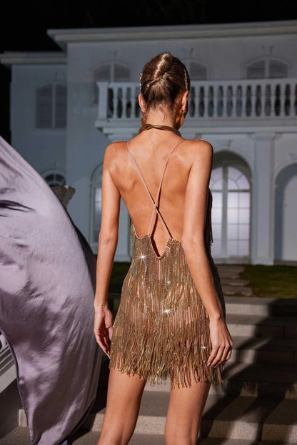 Fiadh Crystal Chain Fringe Mesh Mini Dress